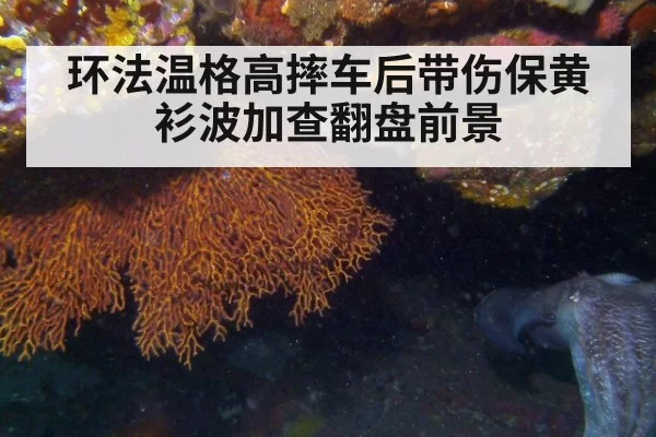 环法温格高摔车后带伤保黄衫波加查翻盘前景