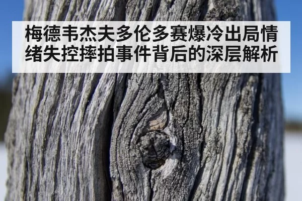 梅德韦杰夫多伦多赛爆冷出局情绪失控摔拍事件背后的深层解析